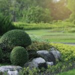 Flo Gardens Creation Jardin Grimaud Taille En Tout Genre 2